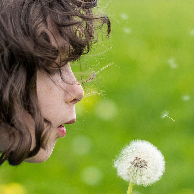 Mitt Romney ‘S Presidential Run Mitt Romney ‘S Presidential Run