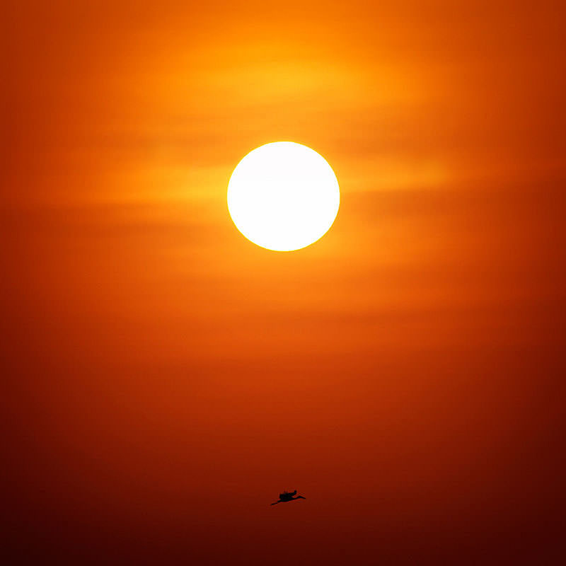 Our Most Christian Congress? Our Most Christian Congress?