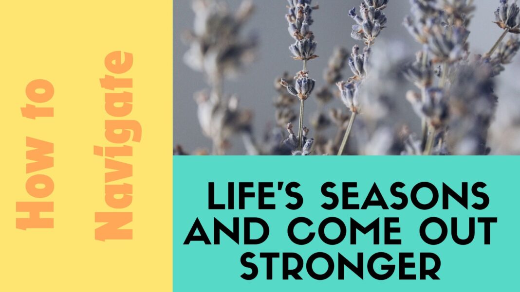 How to Navigate Life's Seasons and Come Out Stronger: