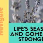 How to Navigate Life's Seasons and Come Out Stronger: