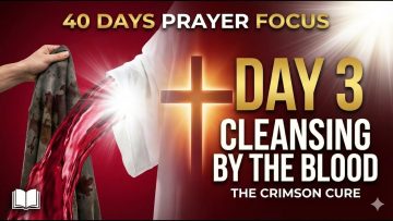 [ID: 5QH1rfj7_Sg] Youtube Automatic