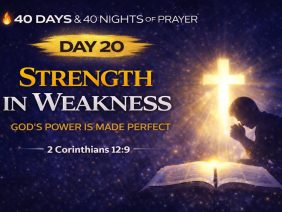 [ID: DwMs2dxNi4s] Youtube Automatic