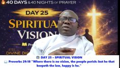 [ID: efw3ErNzU5o] Youtube Automatic