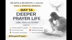 [ID: sDpdFSusI-g] Youtube Automatic